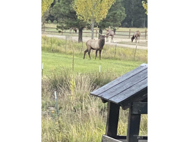 Peaceful country living in the heart of the mountains. This gem on Terrace Lakes Golf Resort in Idaho - for sale on GolfHomes.com, golf home, golf lot