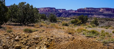 Nestled on the edge of a dramatic cliff, this exceptional on The Golf Club At Redlands Mesa in Colorado - for sale on GolfHomes.com, golf home, golf lot
