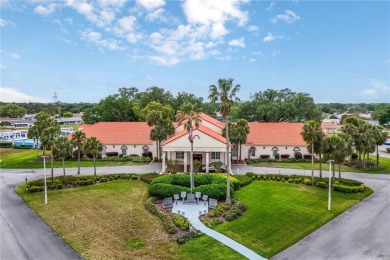 Been looking for a 3-bedroom home in Spruce Creek South's 55+ on The Links of Spruce Creek in Florida - for sale on GolfHomes.com, golf home, golf lot