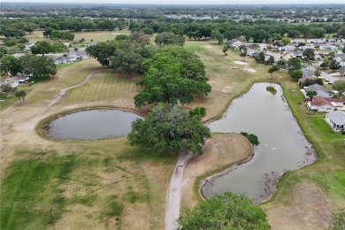 Been looking for a 3-bedroom home in Spruce Creek South's 55+ on The Links of Spruce Creek in Florida - for sale on GolfHomes.com, golf home, golf lot