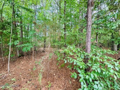 Large over half acre lot in a gated community at the end of a on Sound Golf Links at Albemarle Plantation in North Carolina - for sale on GolfHomes.com, golf home, golf lot