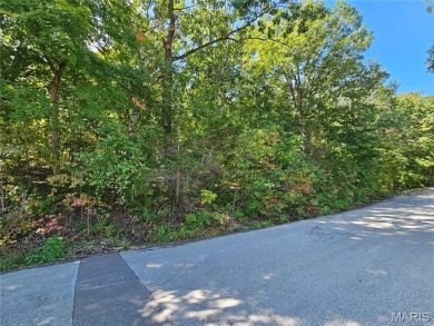 Welcome to East Vista, Section 14 Lot 97, in the highly desired on Raintree Country Club in Missouri - for sale on GolfHomes.com, golf home, golf lot