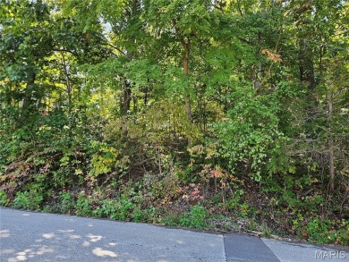 Welcome to East Vista, Section 14 Lot 97, in the highly desired on Raintree Country Club in Missouri - for sale on GolfHomes.com, golf home, golf lot