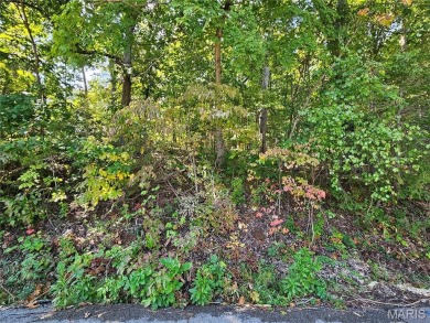 Welcome to East Vista, Section 14 Lot 97, in the highly desired on Raintree Country Club in Missouri - for sale on GolfHomes.com, golf home, golf lot