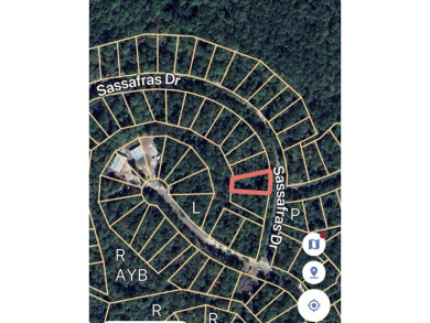 Lake life is calling - answer it! 1/4 acre lot in Rayburn on Rayburn Country Club in Texas - for sale on GolfHomes.com, golf home, golf lot