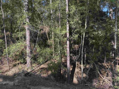 Lake life is calling - answer it! 1/4 acre lot in Rayburn on Rayburn Country Club in Texas - for sale on GolfHomes.com, golf home, golf lot
