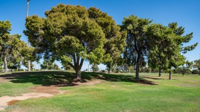 Beautiful, well-maintained home is situated on a serene golf on PalmBrook Country Club in Arizona - for sale on GolfHomes.com, golf home, golf lot