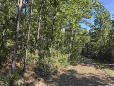 Lake life is calling - answer it! 1/4 acre lot in Rayburn on Rayburn Country Club in Texas - for sale on GolfHomes.com, golf home, golf lot