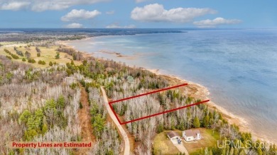 This 1.84-acre lot offers 237 feet of frontage on Lake on Nahma Club in Michigan - for sale on GolfHomes.com, golf home, golf lot