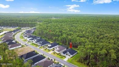 Custom Modern Luxury in Gated Plantation Bay! This 2023 on Plantation Bay Golf and Country Club in Florida - for sale on GolfHomes.com, golf home, golf lot