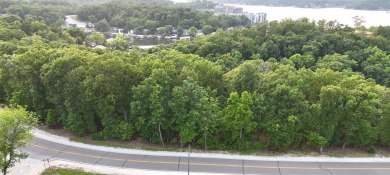 Build Your Dream at Lake of the Ozarks! Bring your vision to on Tan-Tar-A Golf Club in Missouri - for sale on GolfHomes.com, golf home, golf lot
