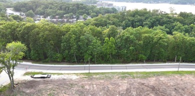 Build Your Dream at Lake of the Ozarks! Bring your vision to on Tan-Tar-A Golf Club in Missouri - for sale on GolfHomes.com, golf home, golf lot