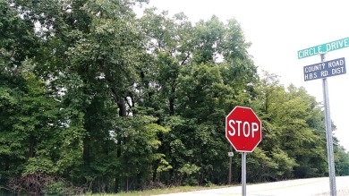Build Your Dream at Lake of the Ozarks! Bring your vision to on Tan-Tar-A Golf Club in Missouri - for sale on GolfHomes.com, golf home, golf lot