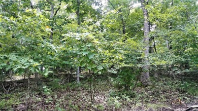 Build Your Dream at Lake of the Ozarks! Bring your vision to on Tan-Tar-A Golf Club in Missouri - for sale on GolfHomes.com, golf home, golf lot