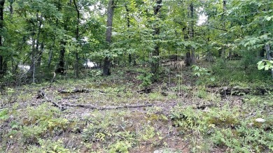 Build Your Dream at Lake of the Ozarks! Bring your vision to on Tan-Tar-A Golf Club in Missouri - for sale on GolfHomes.com, golf home, golf lot