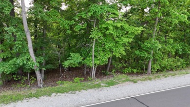 Build Your Dream at Lake of the Ozarks! Bring your vision to on Tan-Tar-A Golf Club in Missouri - for sale on GolfHomes.com, golf home, golf lot