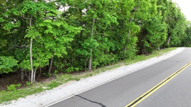 Build Your Dream at Lake of the Ozarks! Bring your vision to on Tan-Tar-A Golf Club in Missouri - for sale on GolfHomes.com, golf home, golf lot