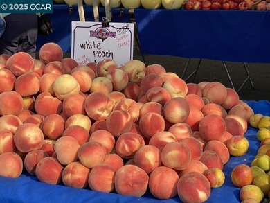 Reintroduced at $889,000, this updated 3BR/3BA Rossmoor townhome on Rossmoor Golf Course in California - for sale on GolfHomes.com, golf home, golf lot