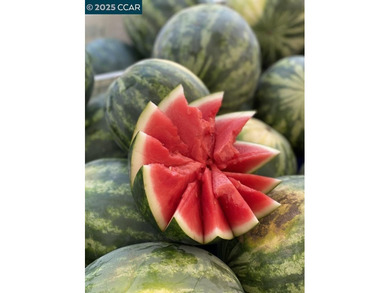 Reintroduced at $889,000, this updated 3BR/3BA Rossmoor townhome on Rossmoor Golf Course in California - for sale on GolfHomes.com, golf home, golf lot