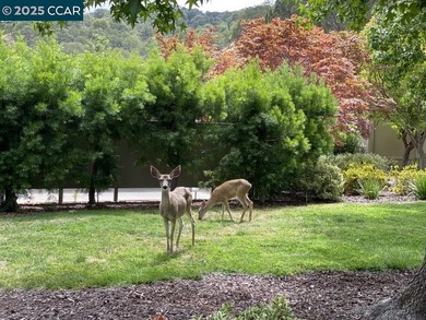 Reintroduced at $889,000, this updated 3BR/3BA Rossmoor townhome on Rossmoor Golf Course in California - for sale on GolfHomes.com, golf home, golf lot