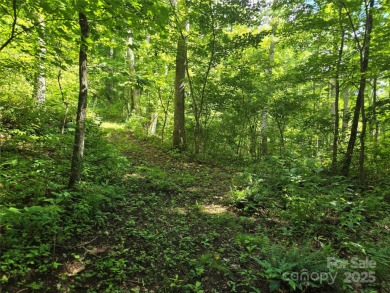27 acres in southern Haywood County. Property has several on Springdale Golf - Country Club in North Carolina - for sale on GolfHomes.com, golf home, golf lot