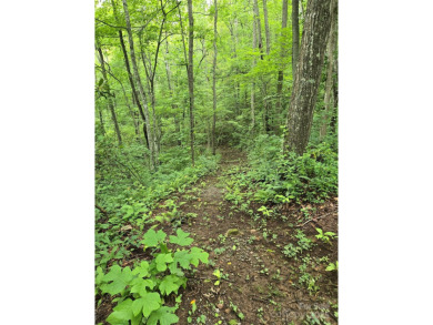 27 acres in southern Haywood County. Property has several on Springdale Golf - Country Club in North Carolina - for sale on GolfHomes.com, golf home, golf lot