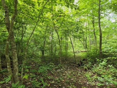 27 acres in southern Haywood County. Property has several on Springdale Golf - Country Club in North Carolina - for sale on GolfHomes.com, golf home, golf lot