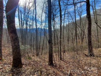 27 acres in southern Haywood County. Property has several on Springdale Golf - Country Club in North Carolina - for sale on GolfHomes.com, golf home, golf lot