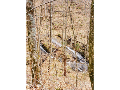 27 acres in southern Haywood County. Property has several on Springdale Golf - Country Club in North Carolina - for sale on GolfHomes.com, golf home, golf lot