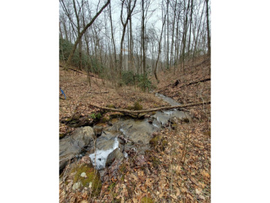 27 acres in southern Haywood County. Property has several on Springdale Golf - Country Club in North Carolina - for sale on GolfHomes.com, golf home, golf lot