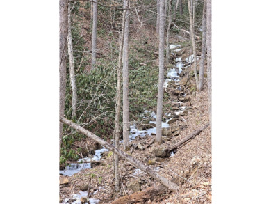 27 acres in southern Haywood County. Property has several on Springdale Golf - Country Club in North Carolina - for sale on GolfHomes.com, golf home, golf lot