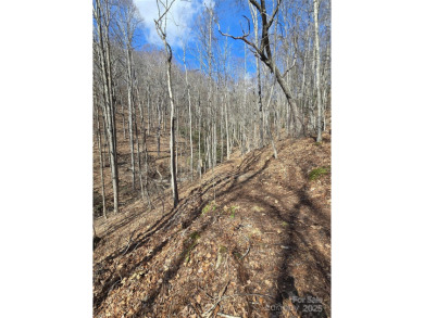 27 acres in southern Haywood County. Property has several on Springdale Golf - Country Club in North Carolina - for sale on GolfHomes.com, golf home, golf lot