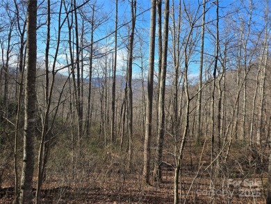 27 acres in southern Haywood County. Property has several on Springdale Golf - Country Club in North Carolina - for sale on GolfHomes.com, golf home, golf lot