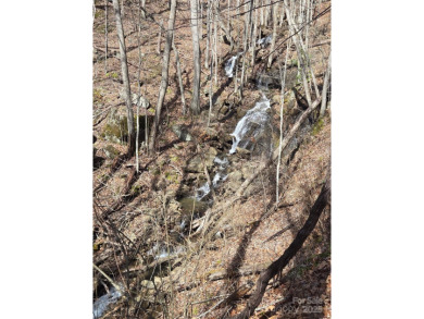 27 acres in southern Haywood County. Property has several on Springdale Golf - Country Club in North Carolina - for sale on GolfHomes.com, golf home, golf lot