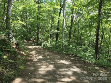 27 acres in southern Haywood County. Property has several on Springdale Golf - Country Club in North Carolina - for sale on GolfHomes.com, golf home, golf lot