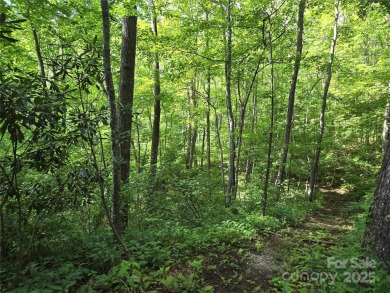 27 acres in southern Haywood County. Property has several on Springdale Golf - Country Club in North Carolina - for sale on GolfHomes.com, golf home, golf lot