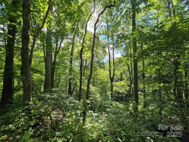 27 acres in southern Haywood County. Property has several on Springdale Golf - Country Club in North Carolina - for sale on GolfHomes.com, golf home, golf lot