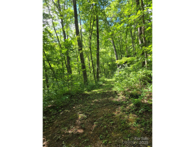 27 acres in southern Haywood County. Property has several on Springdale Golf - Country Club in North Carolina - for sale on GolfHomes.com, golf home, golf lot