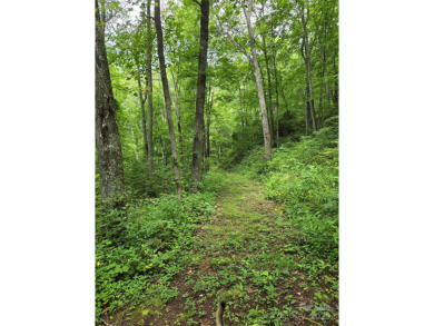 27 acres in southern Haywood County. Property has several on Springdale Golf - Country Club in North Carolina - for sale on GolfHomes.com, golf home, golf lot