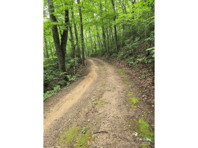 27 acres in southern Haywood County. Property has several on Springdale Golf - Country Club in North Carolina - for sale on GolfHomes.com, golf home, golf lot