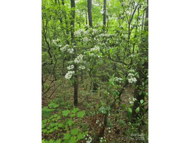 27 acres in southern Haywood County. Property has several on Springdale Golf - Country Club in North Carolina - for sale on GolfHomes.com, golf home, golf lot