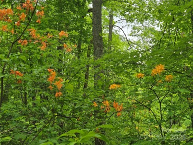 27 acres in southern Haywood County. Property has several on Springdale Golf - Country Club in North Carolina - for sale on GolfHomes.com, golf home, golf lot