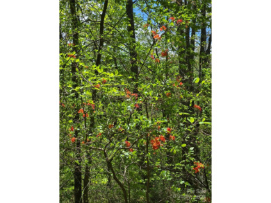 27 acres in southern Haywood County. Property has several on Springdale Golf - Country Club in North Carolina - for sale on GolfHomes.com, golf home, golf lot
