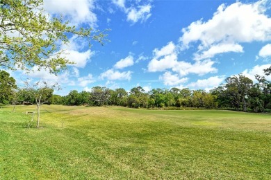 Location, location , location! Nestled in the heart of Oakley on The Meadows Golf and Country Club in Florida - for sale on GolfHomes.com, golf home, golf lot