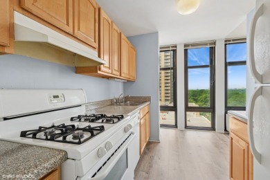 Stunning north facing views from this lovely corner unit at on South Shore Cultural Ctr. Golf Course in Illinois - for sale on GolfHomes.com, golf home, golf lot