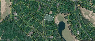 Some say that the #11 green on the BHI Golf Course is one of the on Bald Head Island Golf Club in North Carolina - for sale on GolfHomes.com, golf home, golf lot