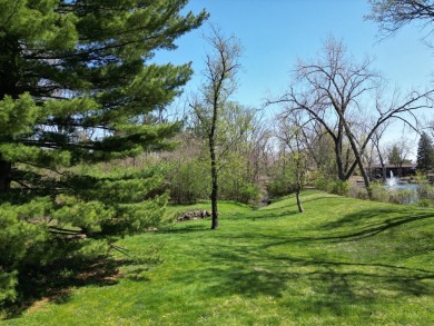 Amazing one-of-a-kind property in highly desirable Brookeridge on Carriage Greens Country Club in Illinois - for sale on GolfHomes.com, golf home, golf lot