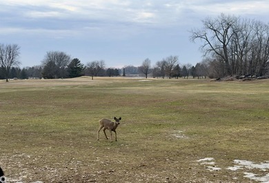 RARE OPPORTUNITY TO OWN ONE OF THE LAST available lots near Rice on  in Iowa - for sale on GolfHomes.com, golf home, golf lot