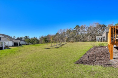 Welcome to Mt. Vintage! This spacious 3,570 sq. ft. home with 4 on Mount Vintage Plantation and Golf Club  in South Carolina - for sale on GolfHomes.com, golf home, golf lot