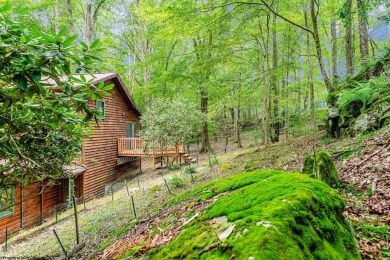 Like something out of Storybook Forest- Tucked beneath a canopy on Paradise Lake Golf Course in West Virginia - for sale on GolfHomes.com, golf home, golf lot